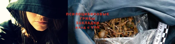 герыч Ладушкин