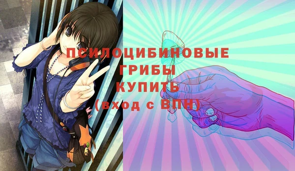 герыч Ладушкин