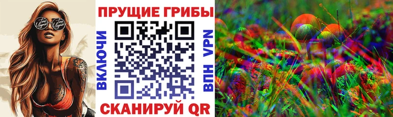 Псилоцибиновые грибы прущие грибы  Кудымкар 