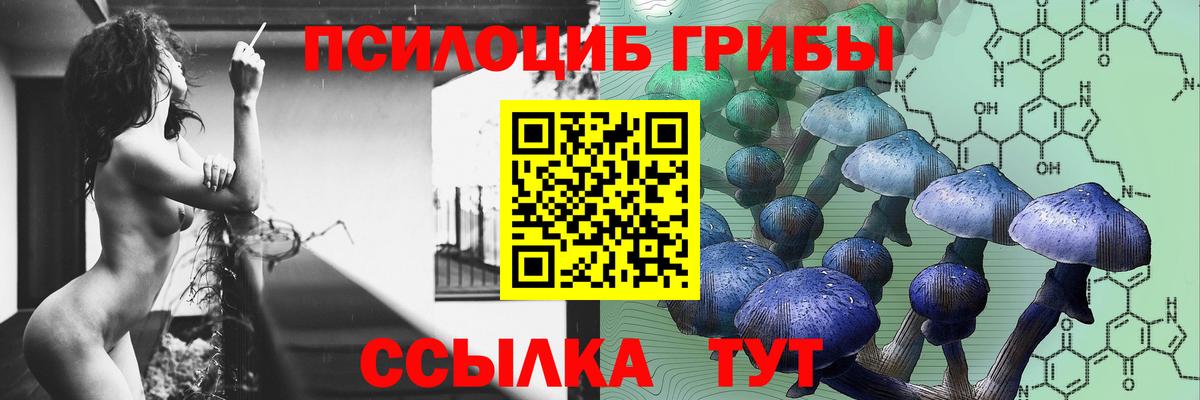 Кудымкар  Псилоцибиновые грибы прущие грибы  Вход с VPN  Галлюциногенные грибы Psilocybe 