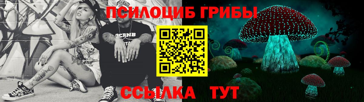Галлюциногенные грибы Psilocybine cubensis Кудымкар
